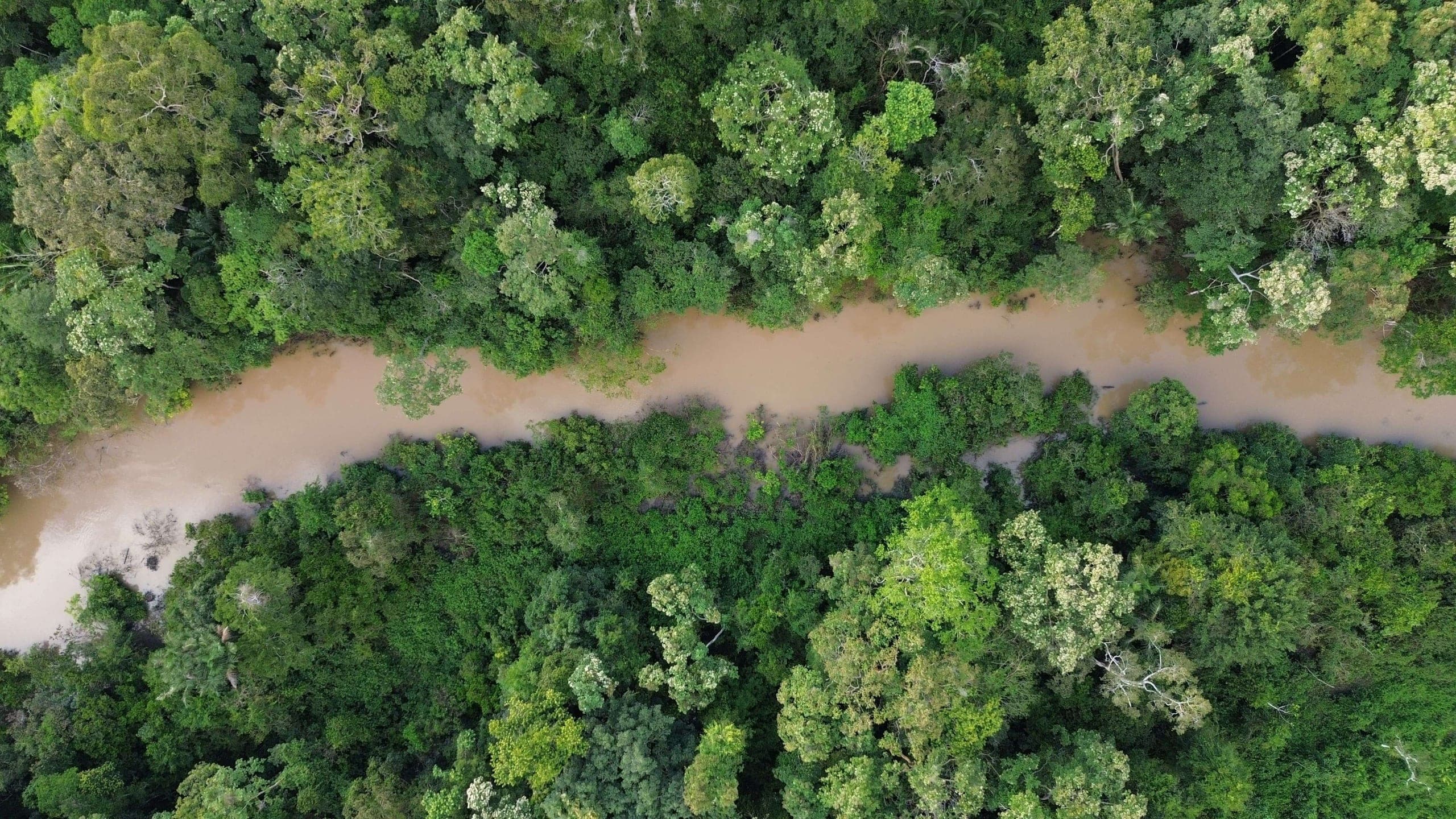 97% de vegetação nativa preservada