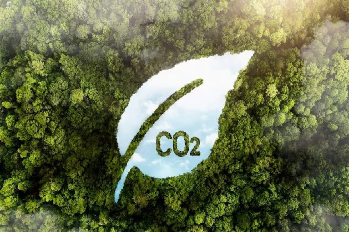 Mercado de carbono em expansão
