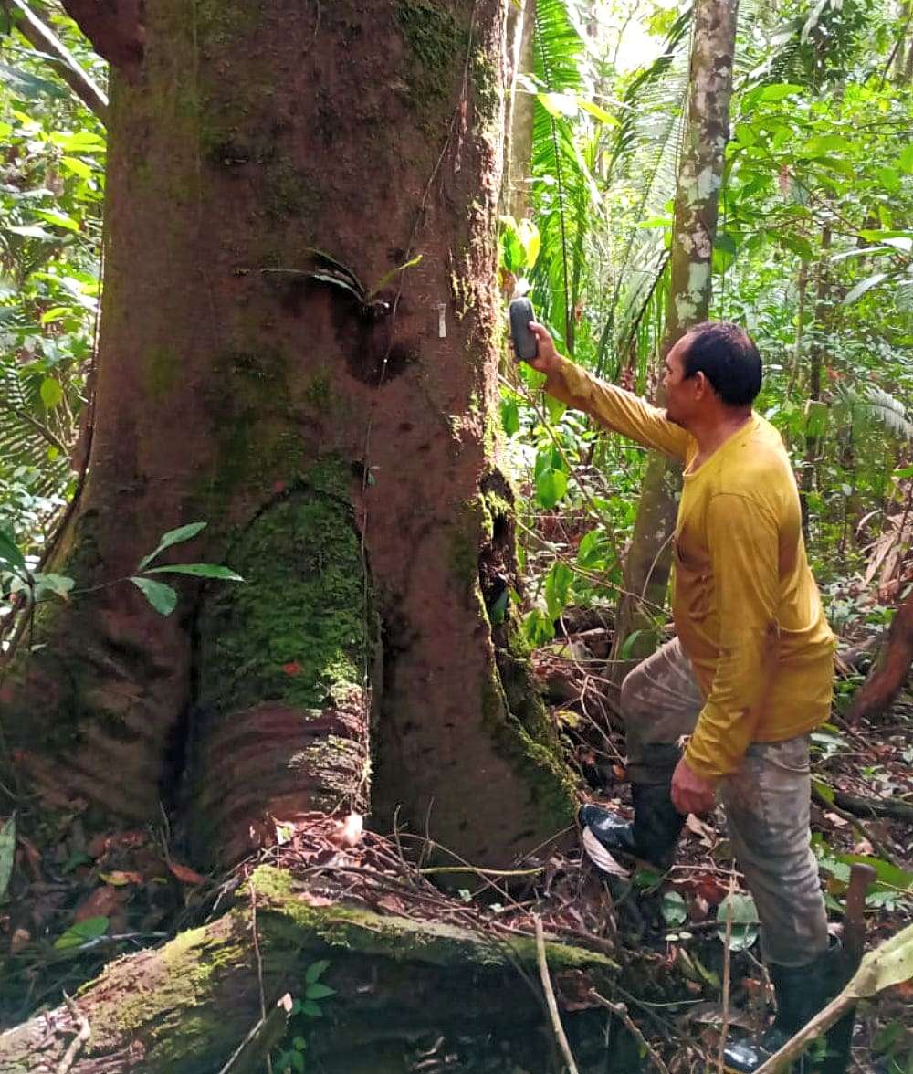 Estudo de Viabilidade Técnica (EVT) concluído e PDD em andamento