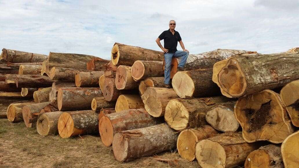 Exploração sustentável com resultados imediatos