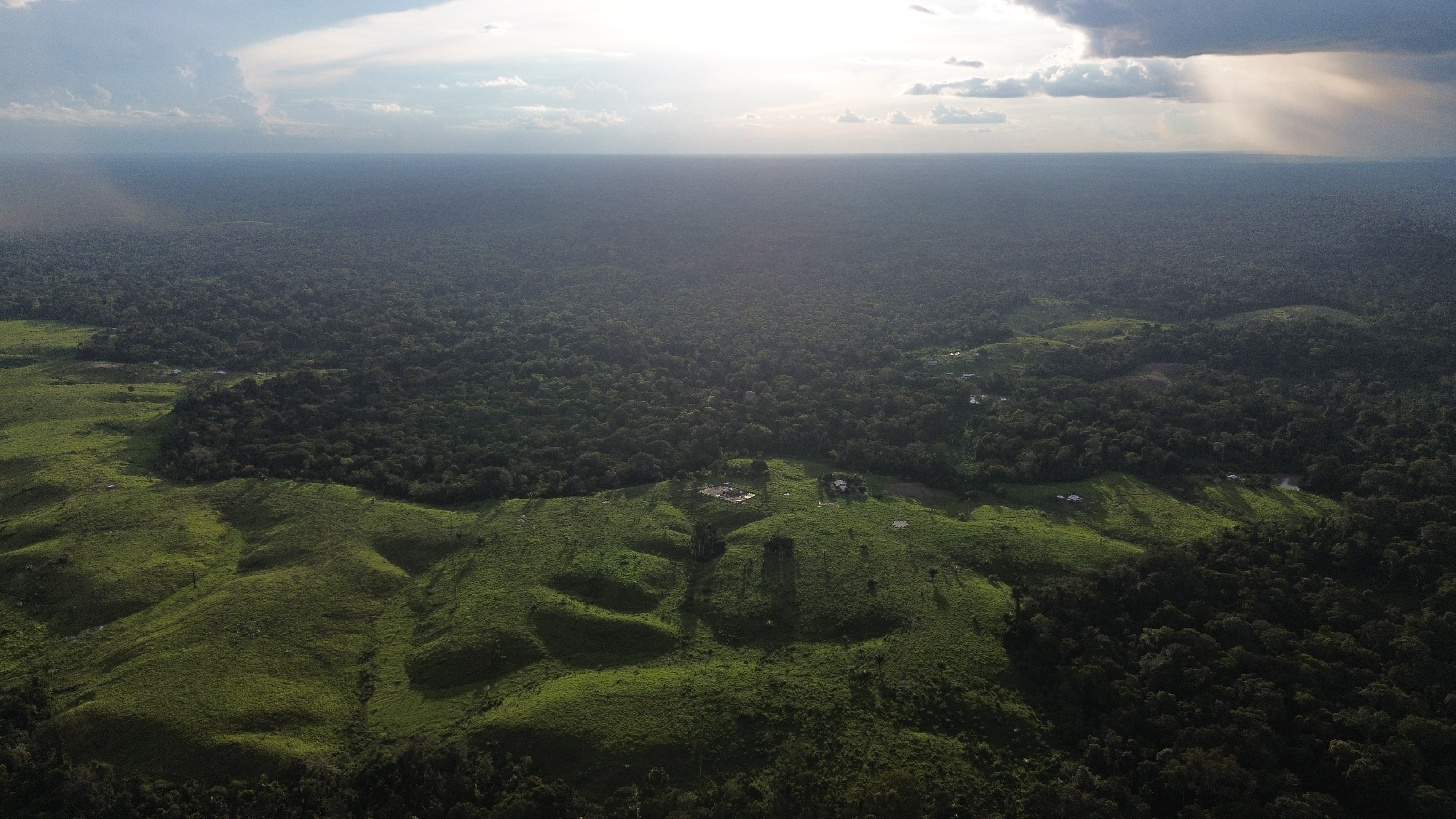 Floresta preservada - vista aérea