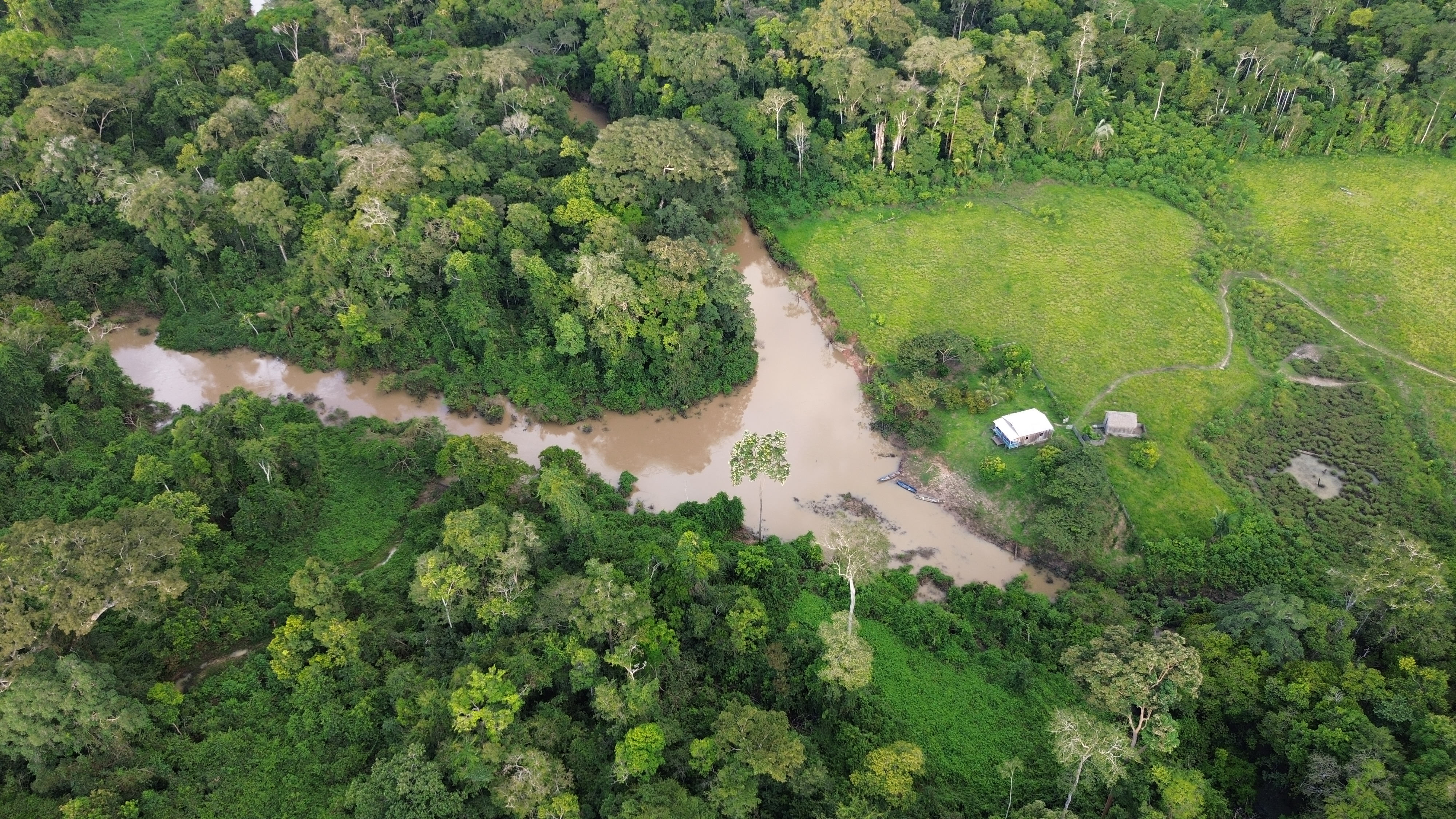 Floresta preservada - vista aérea