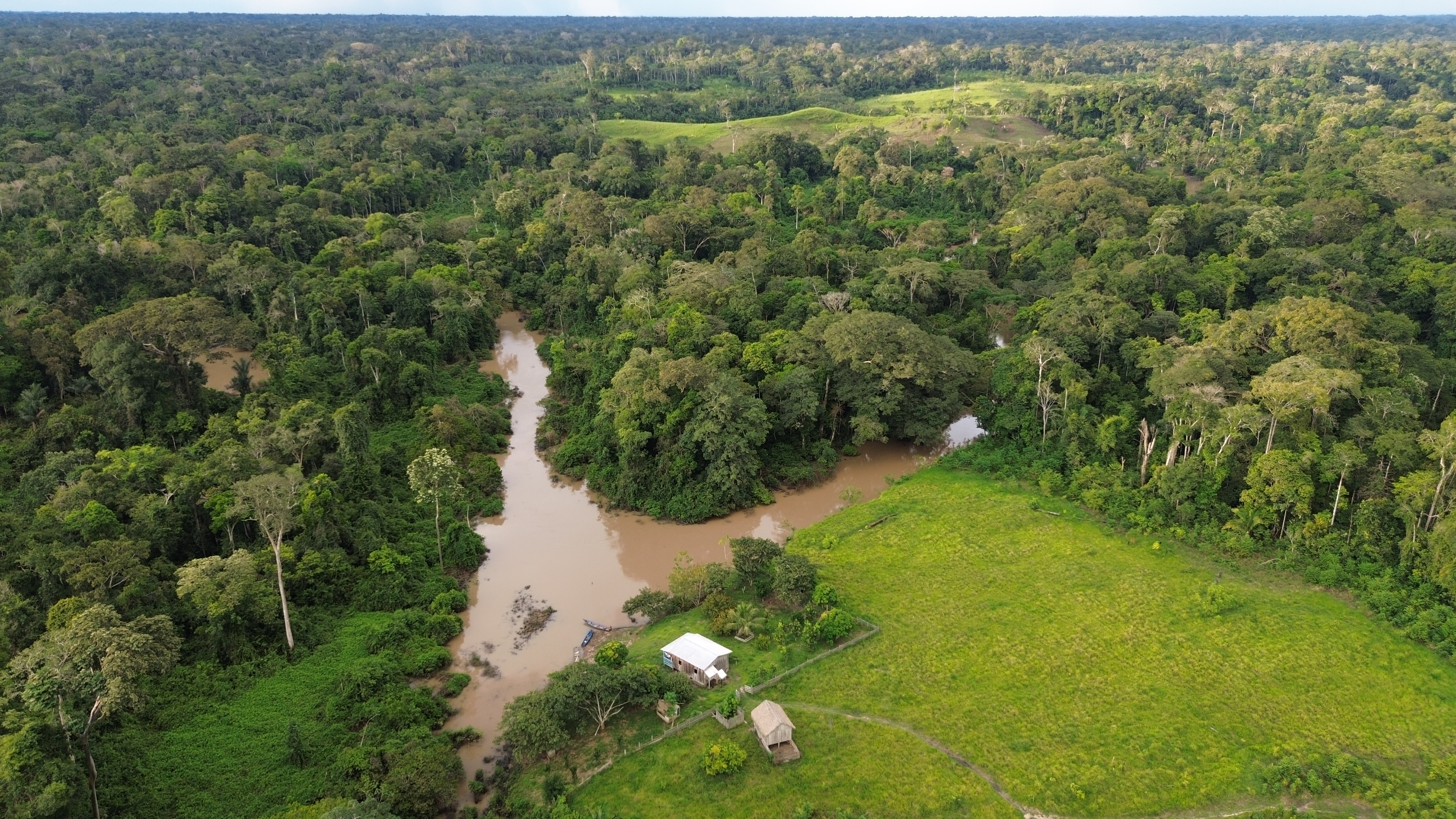 Floresta preservada - vista aérea