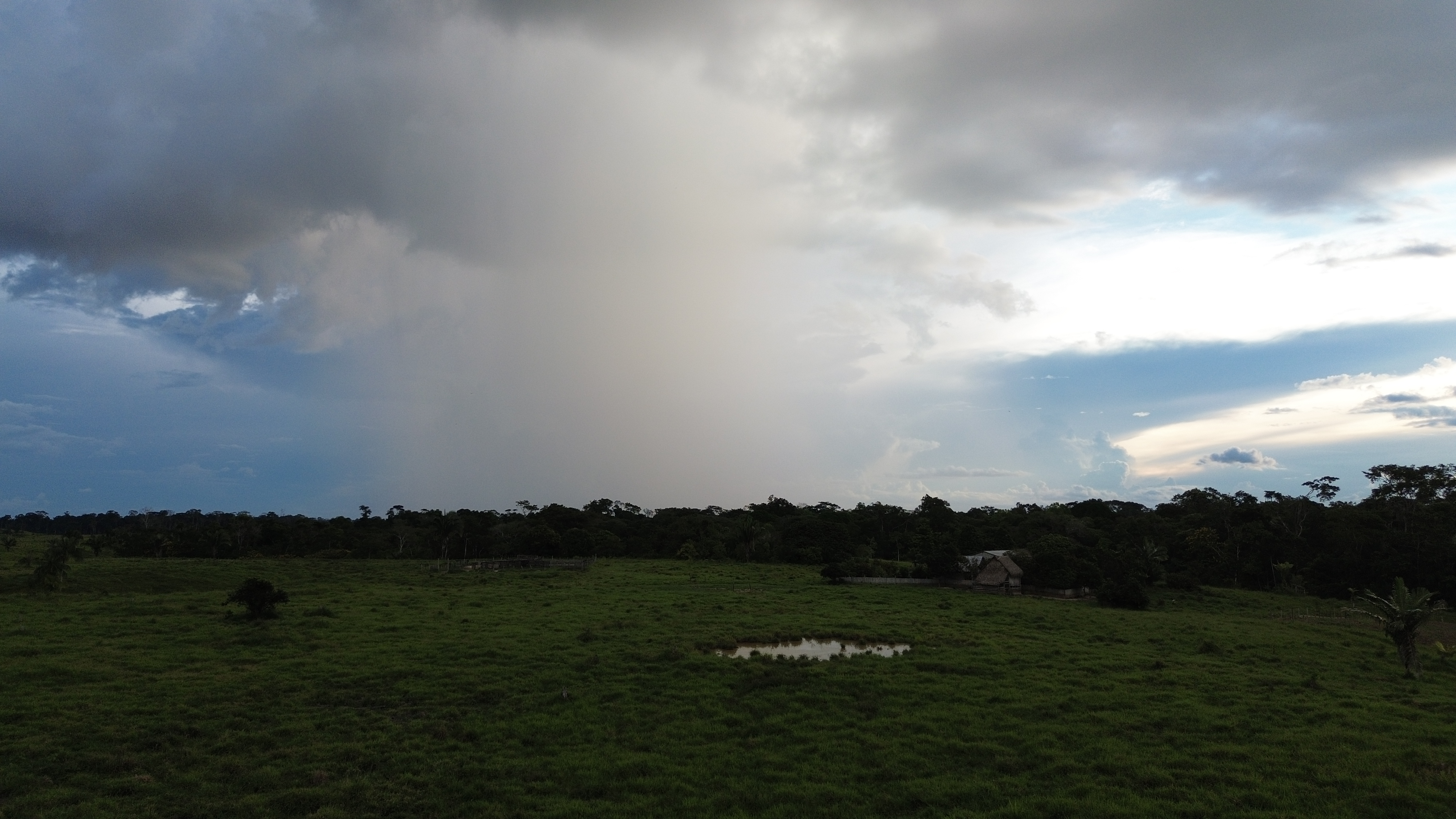 Floresta preservada - vista aérea