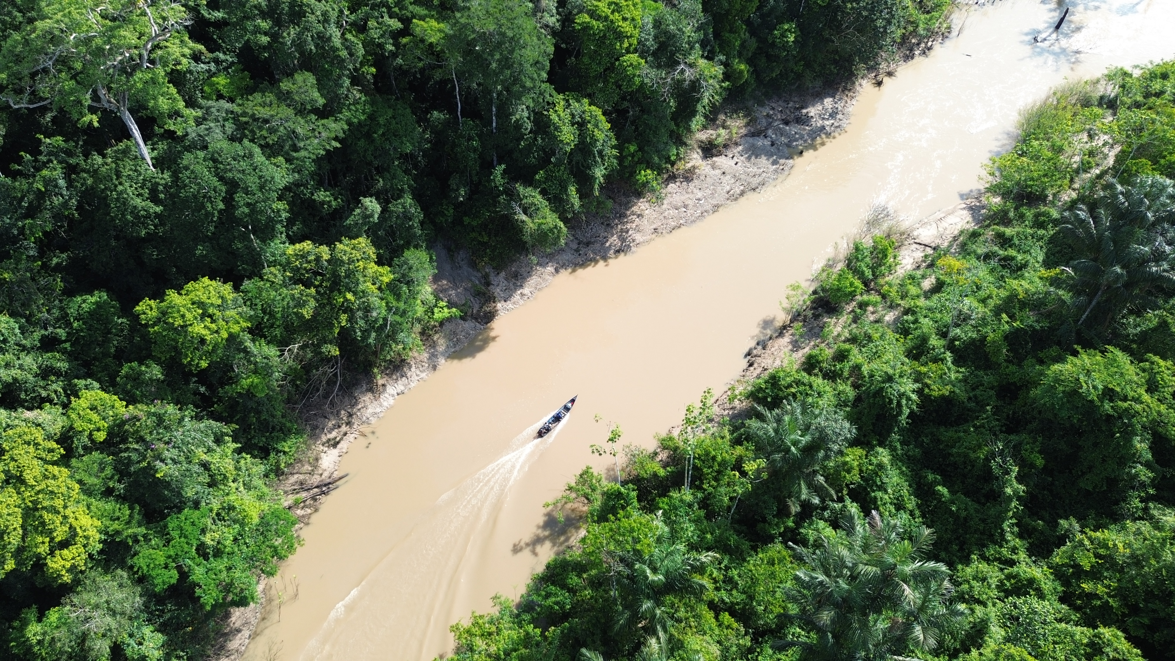 Floresta preservada - vista aérea