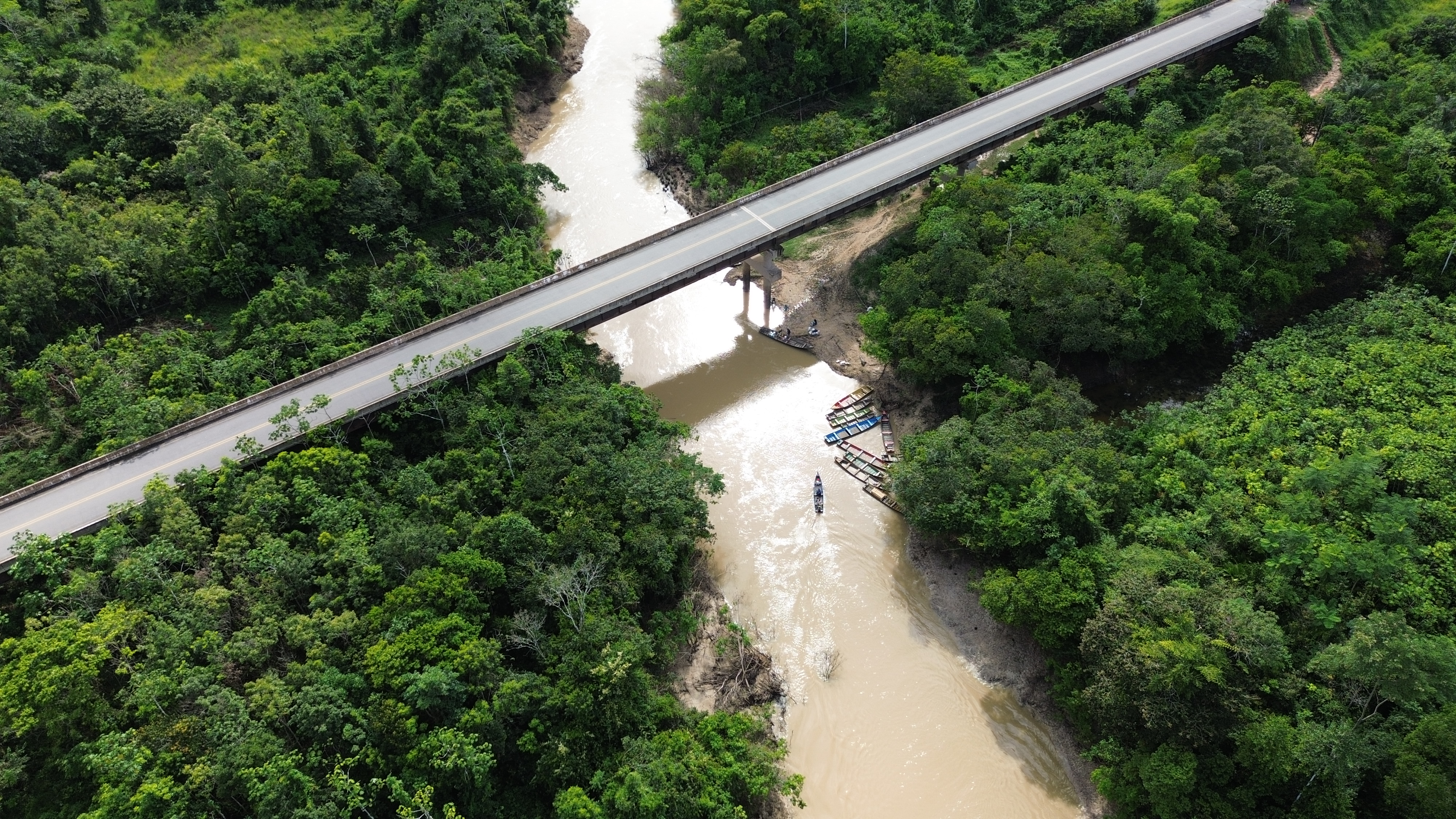 Floresta preservada - vista aérea