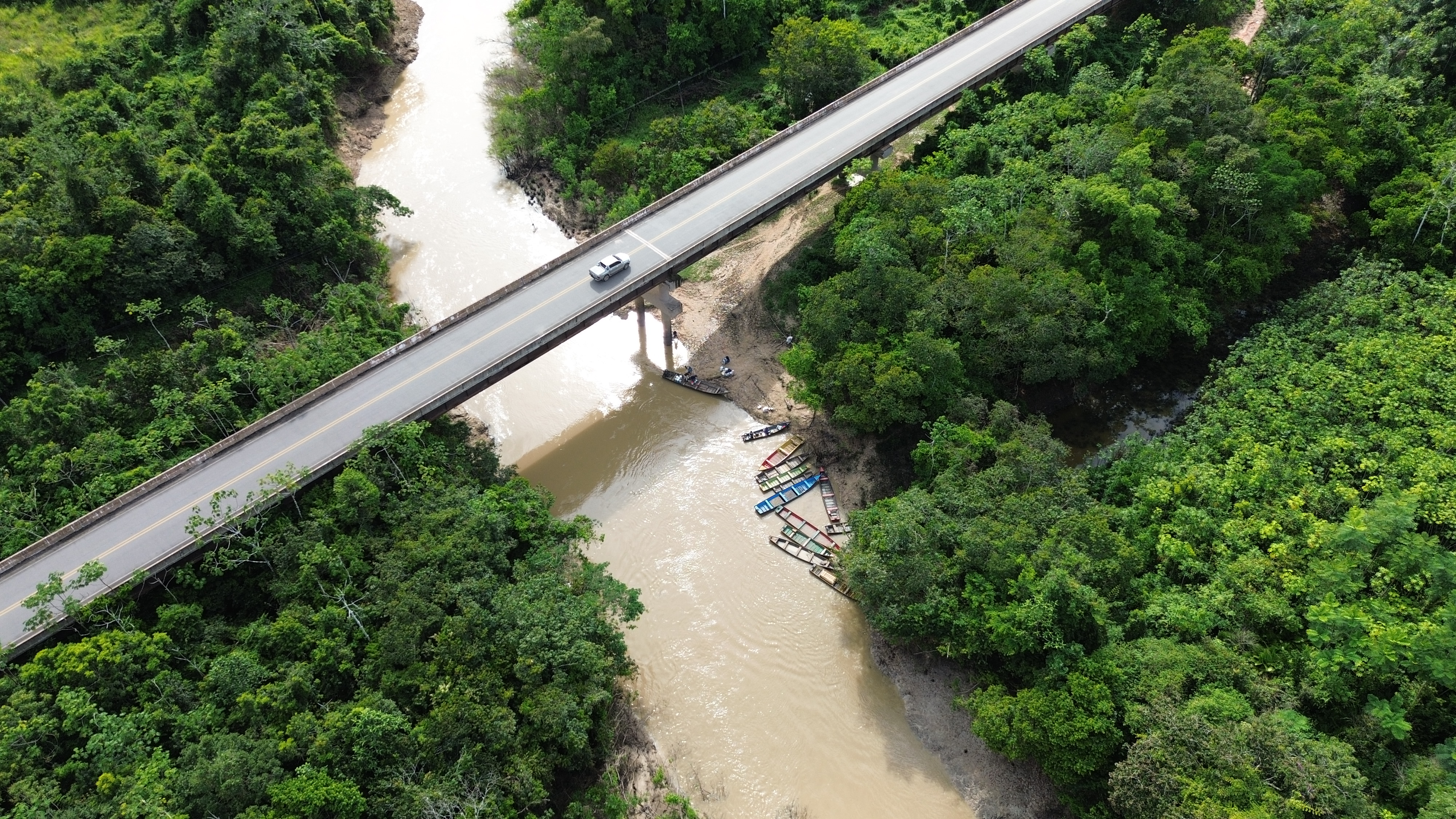 Floresta preservada - vista aérea