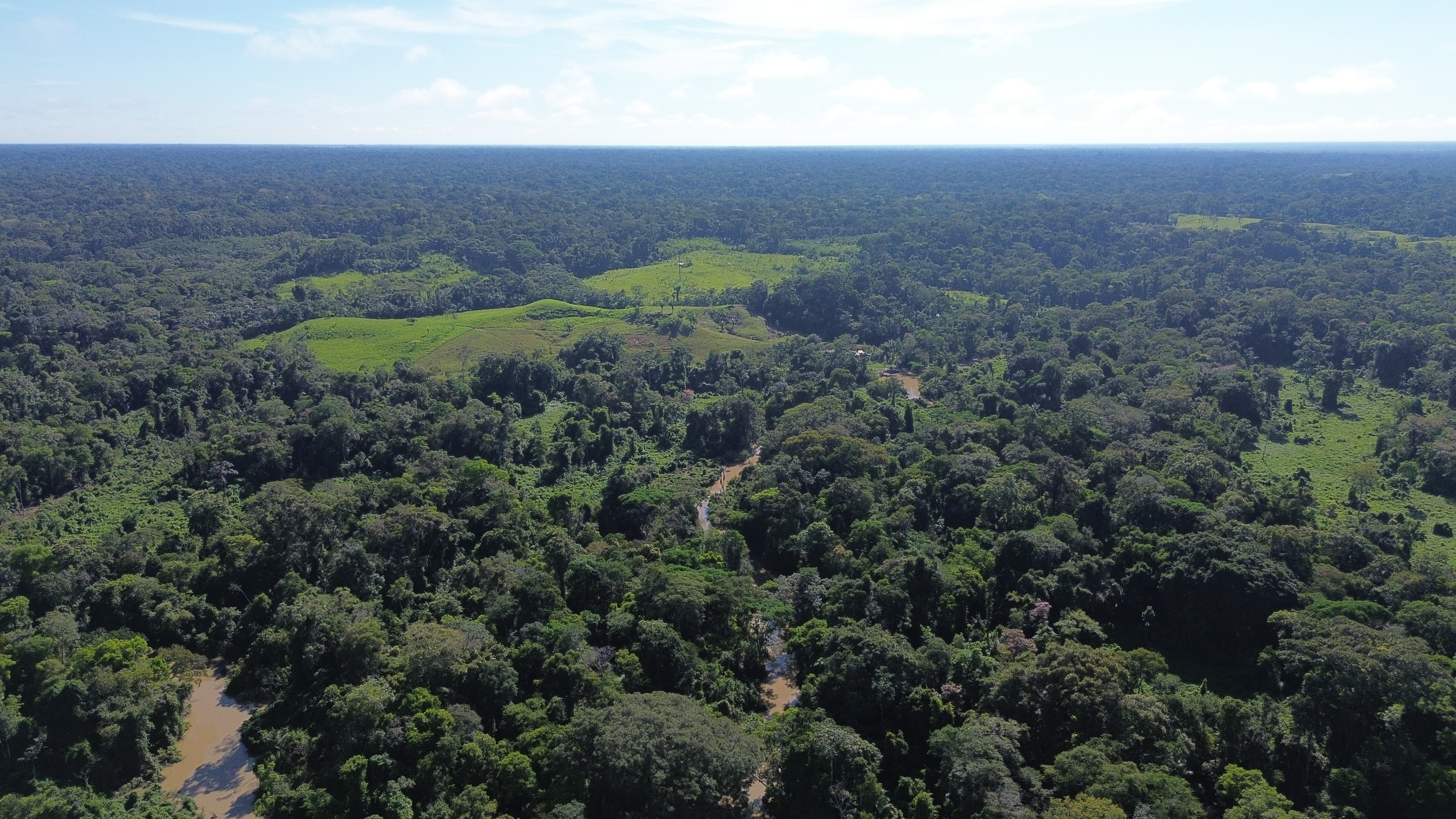 Floresta preservada - vista aérea