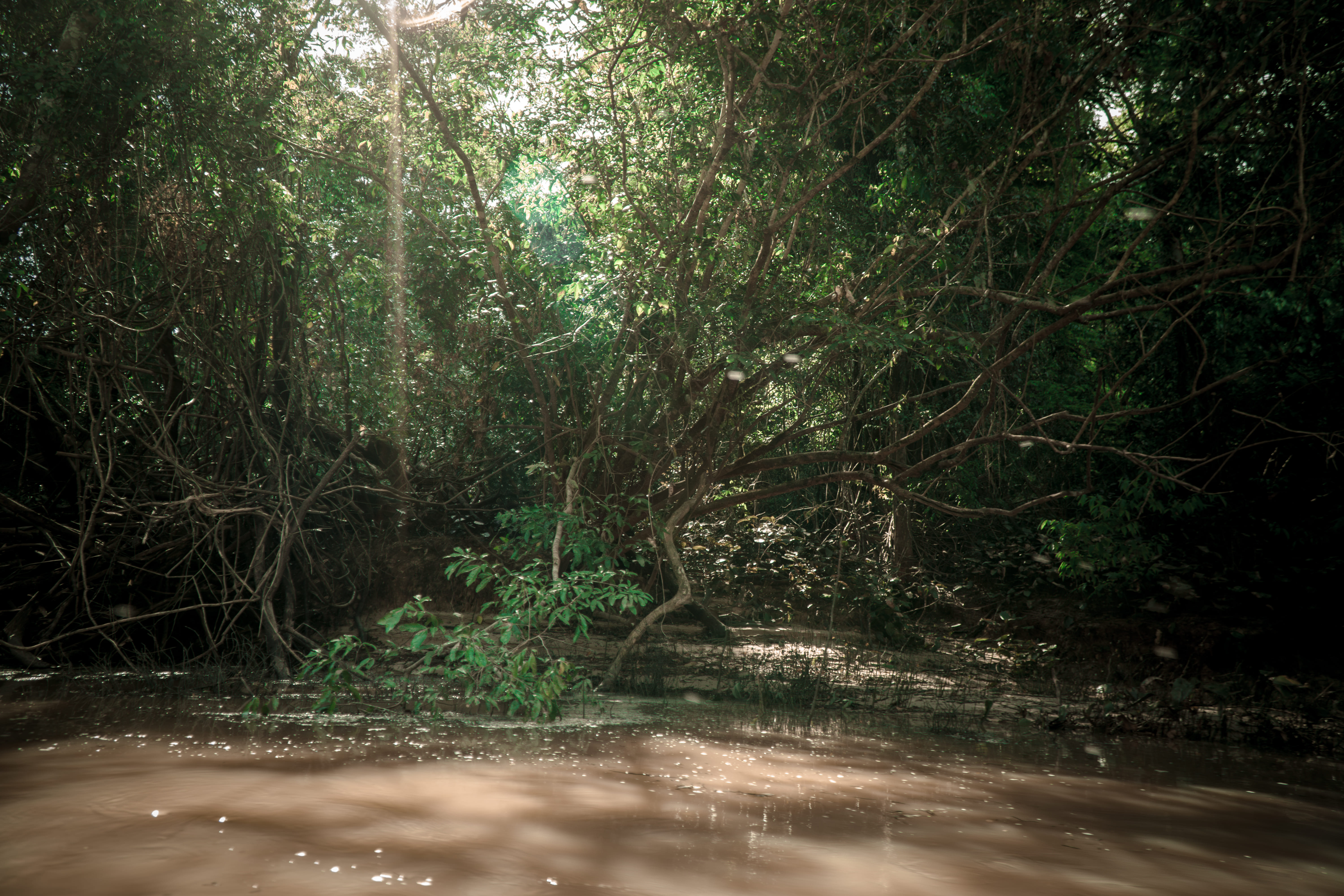 Rio Jurupari - margens preservadas