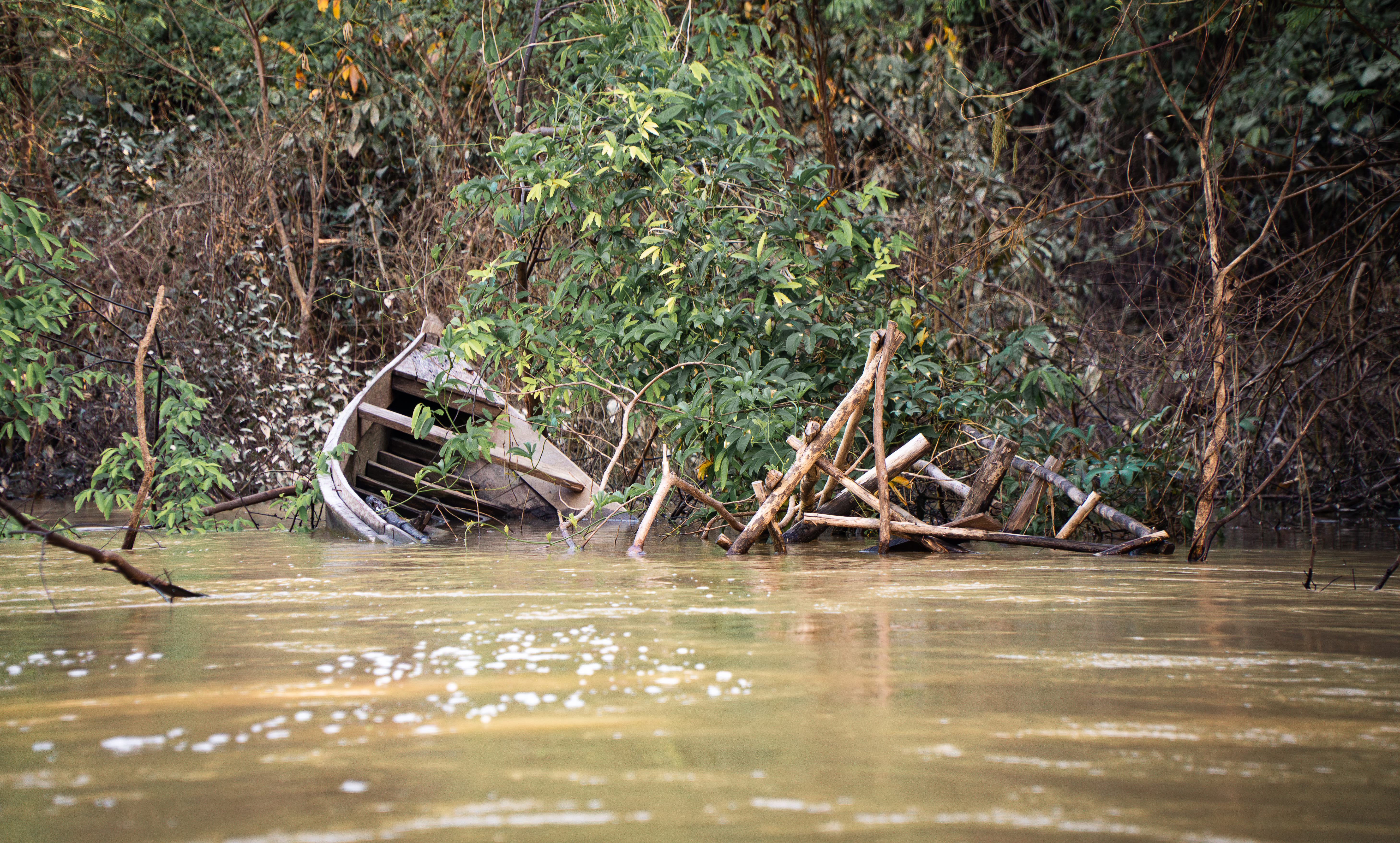 Rio Jurupari - margens preservadas