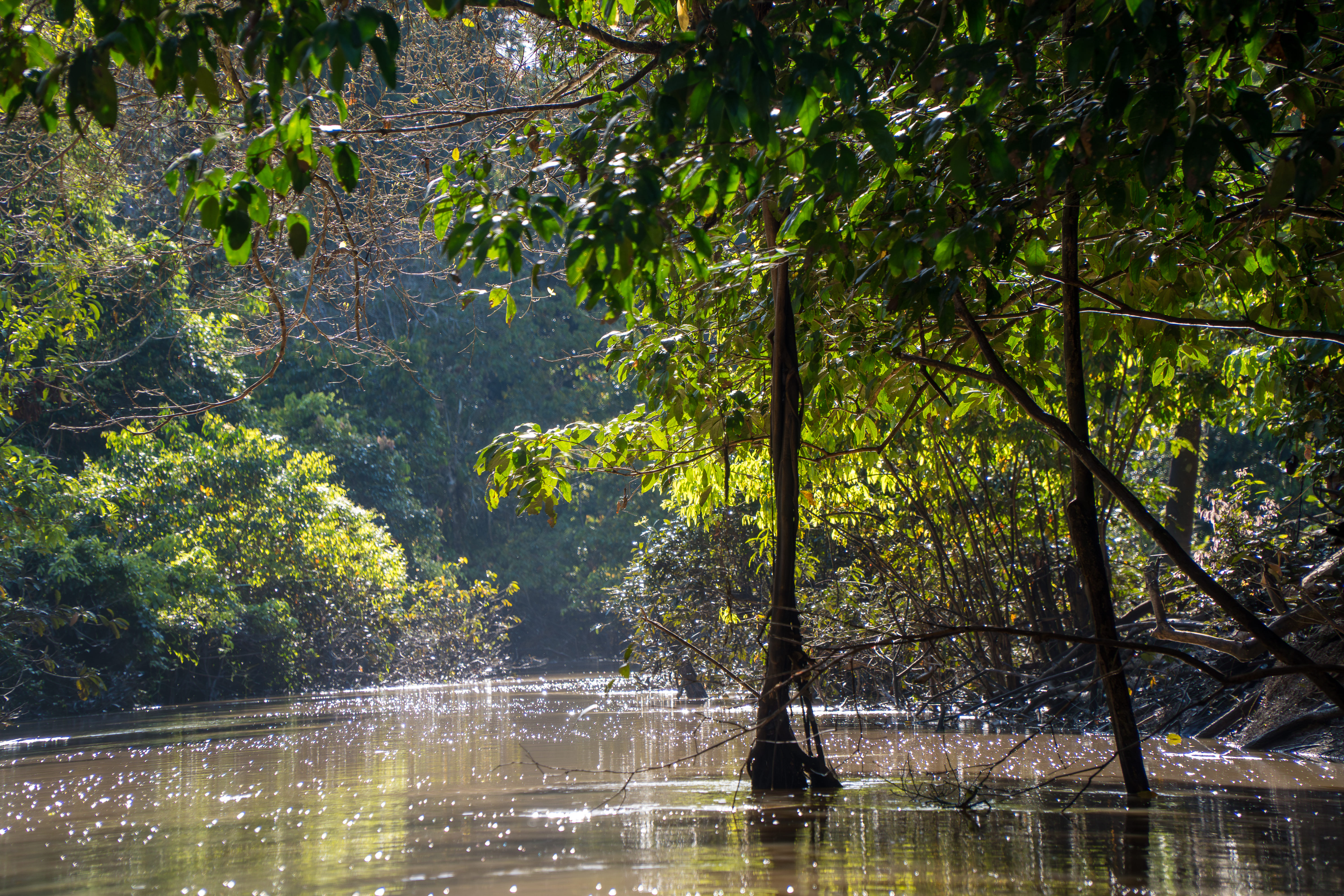 Rio Jurupari - margens preservadas