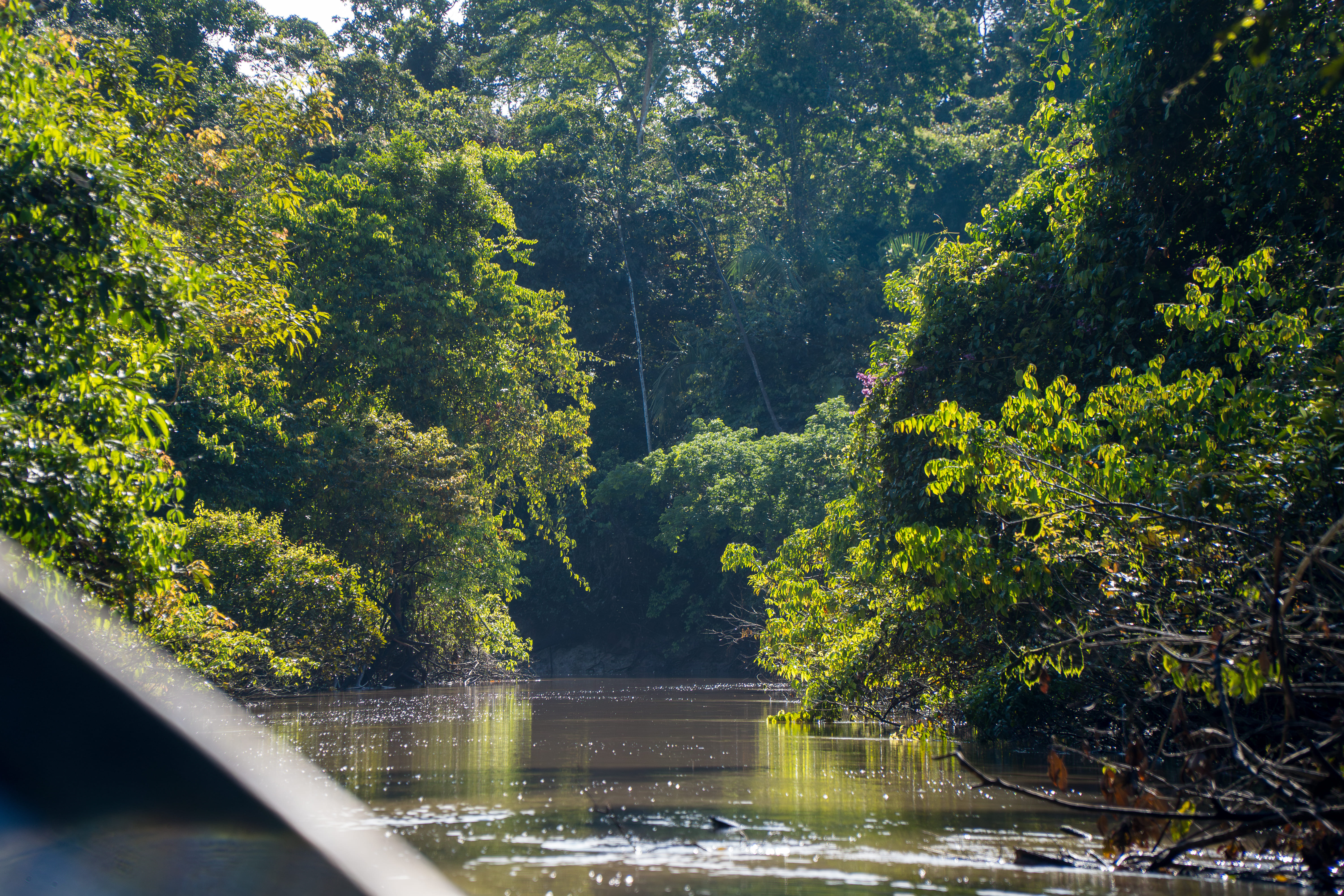 Rio Jurupari - margens preservadas