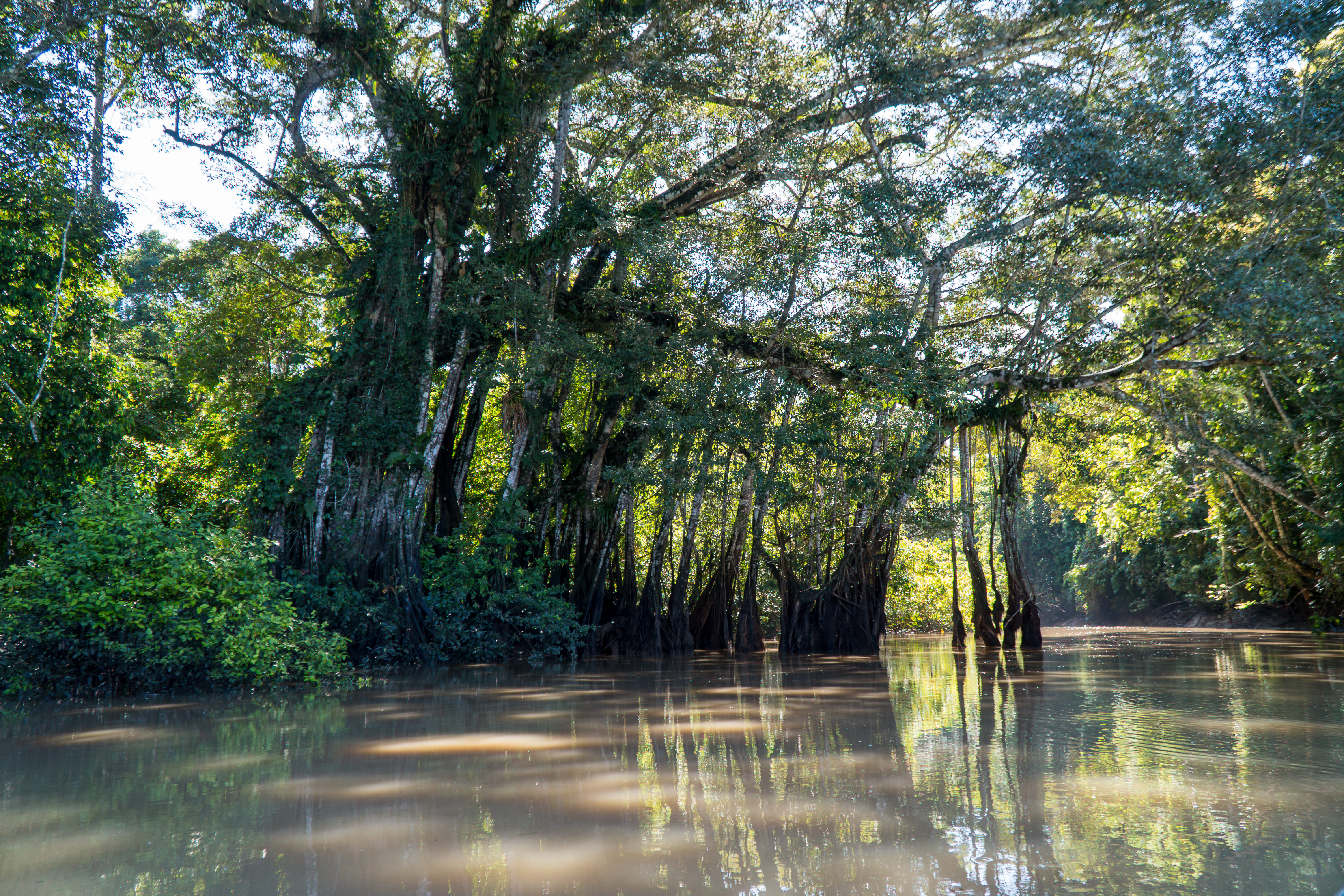 Rio Jurupari - margens preservadas
