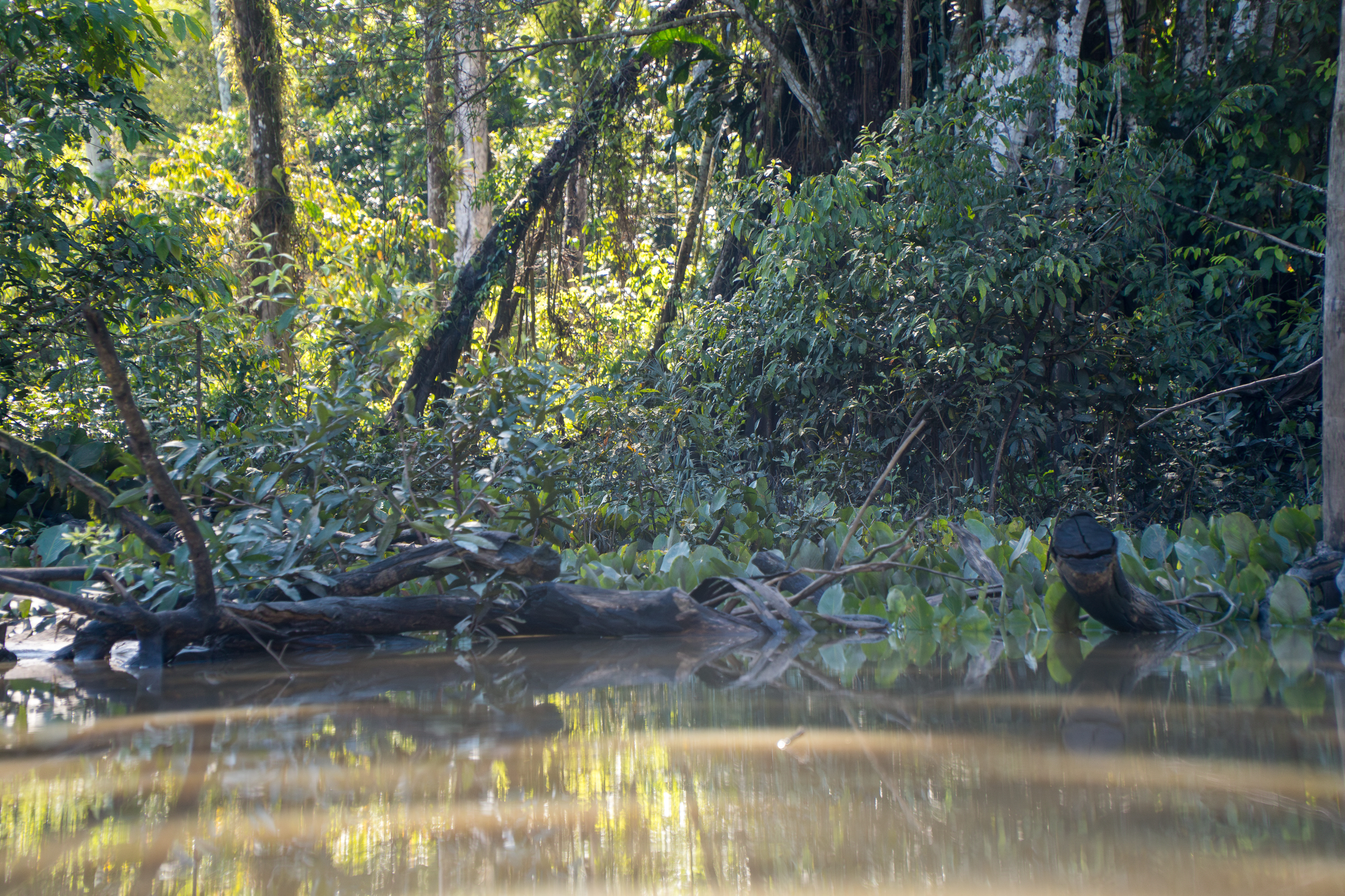 Rio Jurupari - margens preservadas