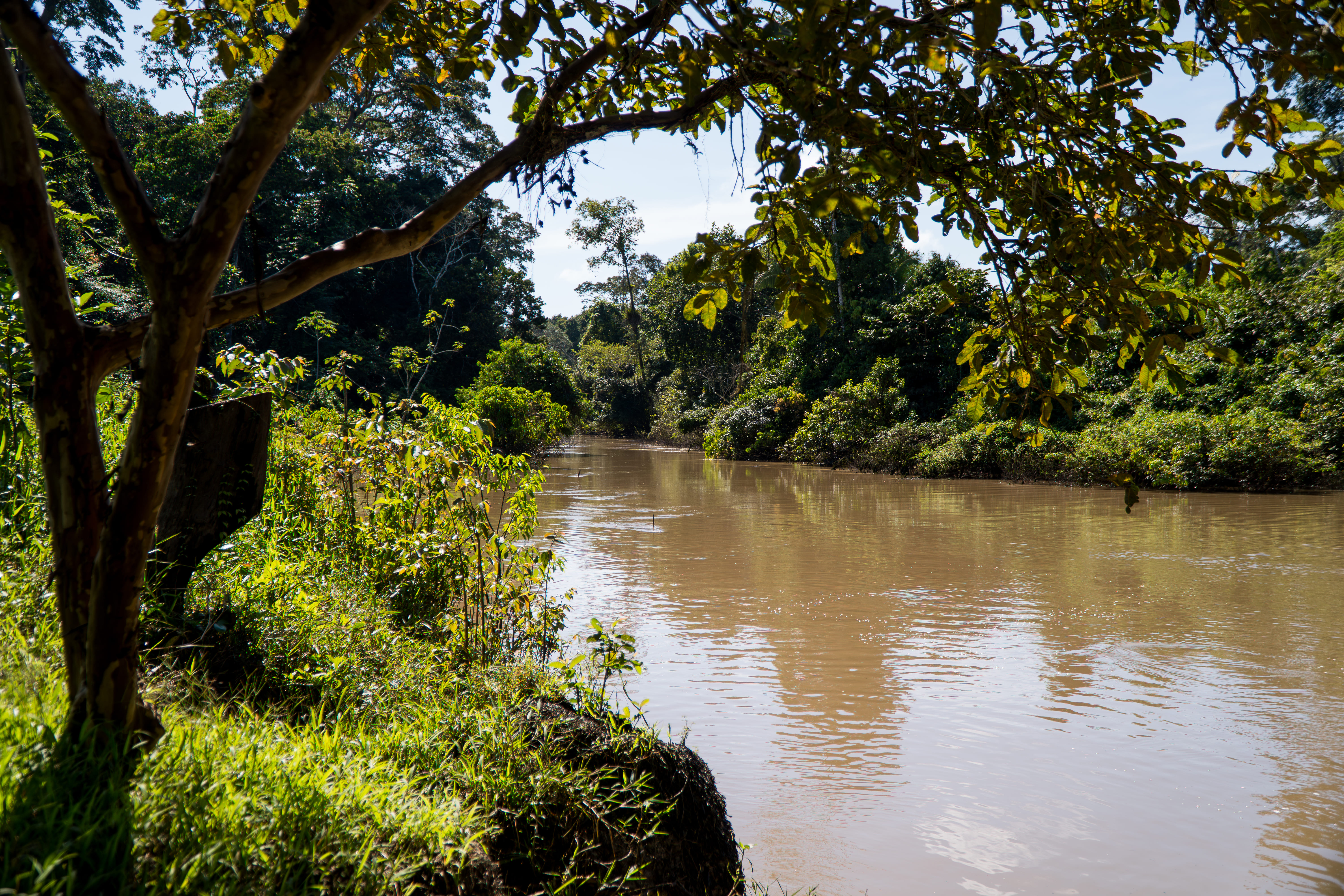 Rio Jurupari - margens preservadas