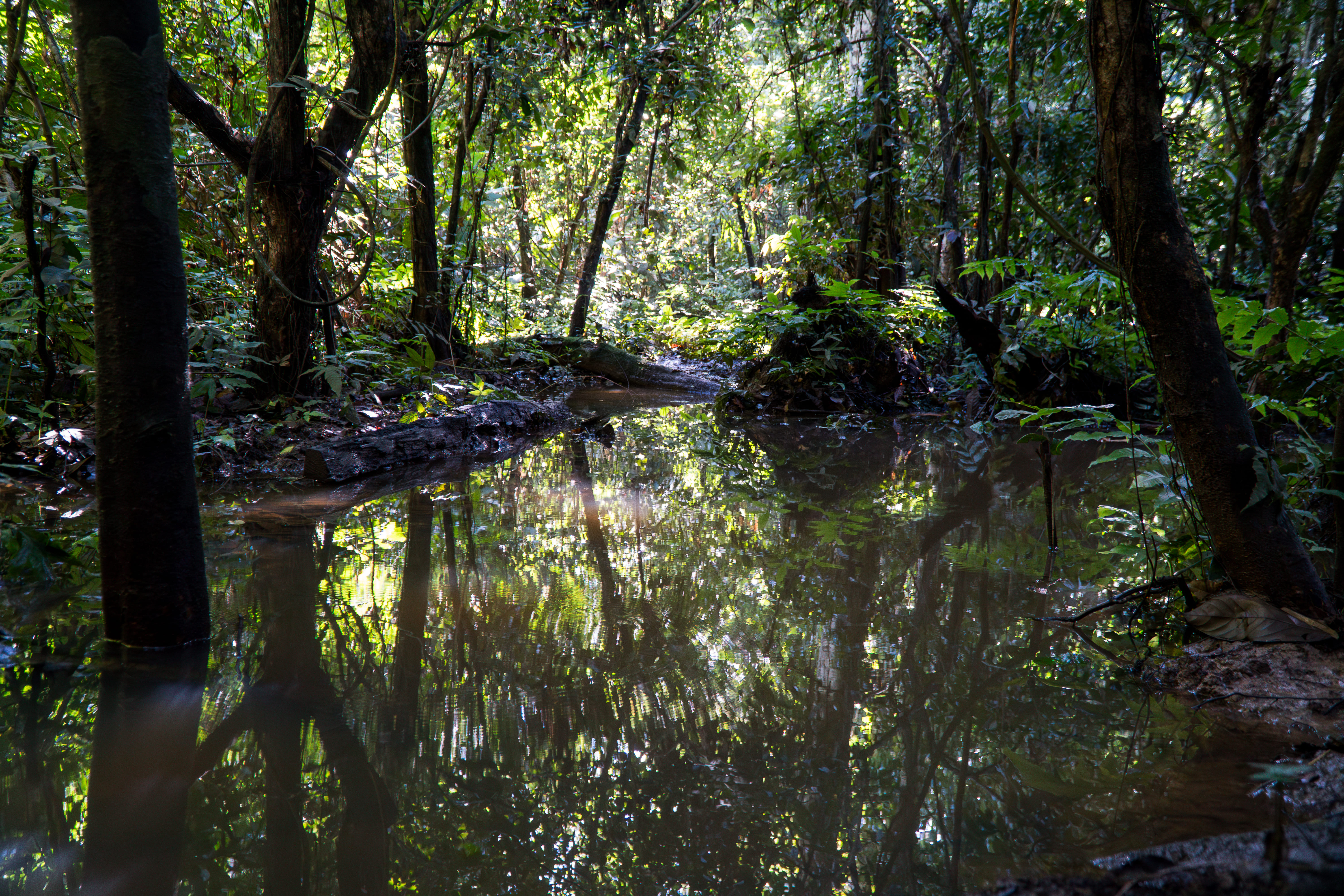 Rio Jurupari - margens preservadas