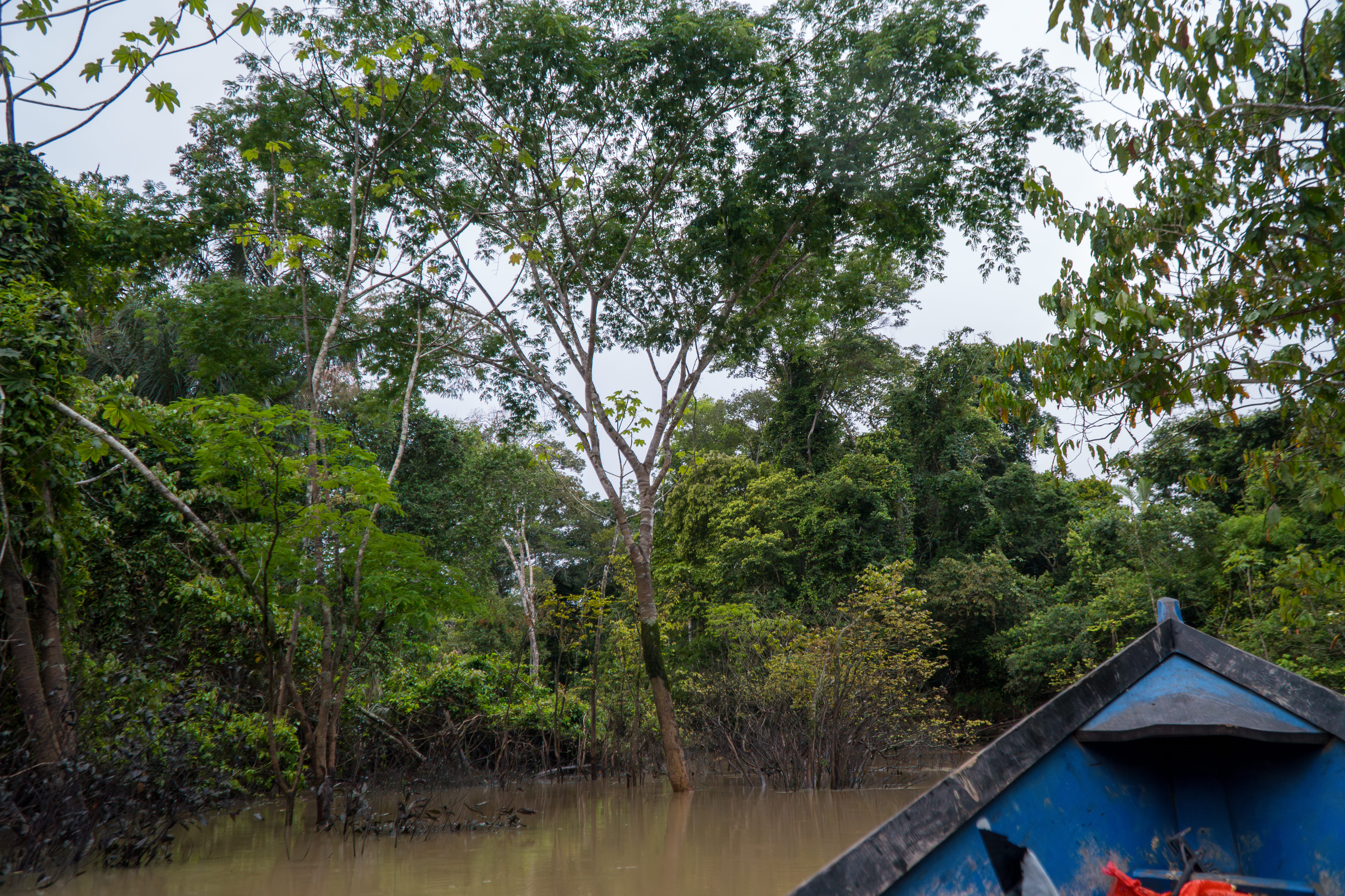 Rio Jurupari - margens preservadas